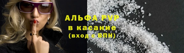 гидра Абаза