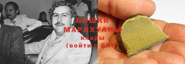 гидра Абаза